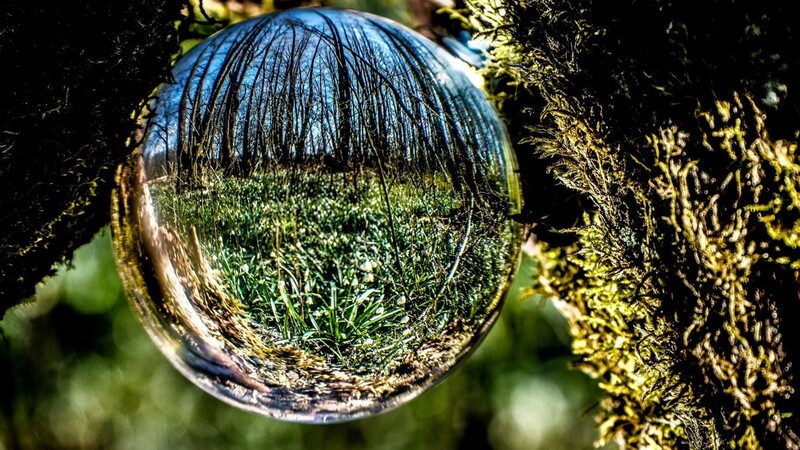 In einem Wald in der Nähe von Straubing hat Hans Bast dieses Bild gemacht. In der Glaskugel spiegelt sich der Waldboden, der über und über mit Märzenbechern bedeckt ist. Der einzigartige Kugeleffekt macht es möglich, eindrucksvolle Ansichten im 180-Grad-Winkel aufzunehmen.