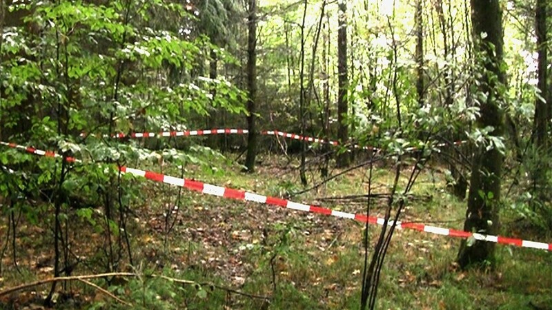 Ein Pilzsucher hatte hier die sterblichen Überreste der vermissten Maria Baumer gefunden.