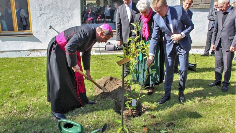 Symbolischer Akt zur Einweihung der LVHS: Bischof Oster pflanzte ein Magnolienbäumchen.