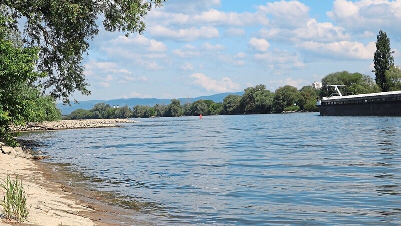 Buhnen, Schiffe, Strömung: So manches an der Donau ist nicht ungefährlich.