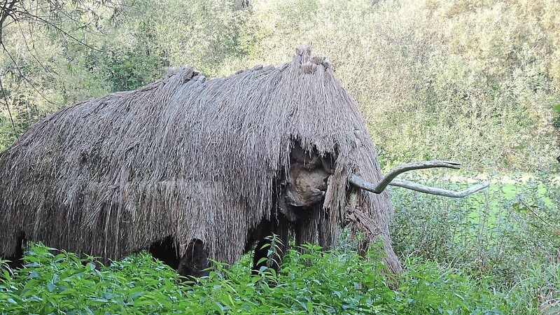 Aus Stroh wurde ein Mammut nachgebaut.