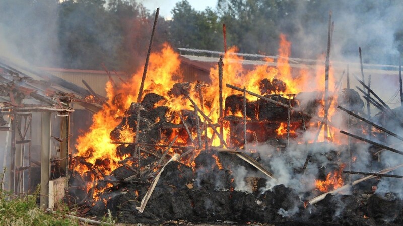 Auf einem landwirtschaftlichen Anwesen in Roith bei Mintraching ist am Samstagnachmittag ein Feuer ausgebrochen.