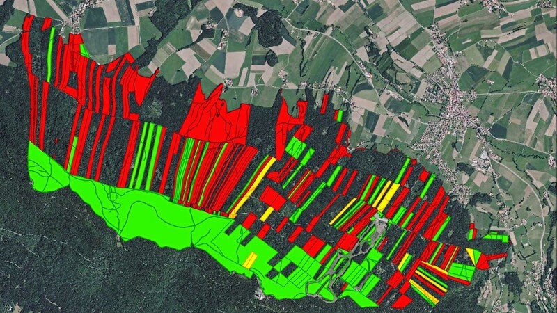 Wie Handtücher verteilen sich parallel die Grundstücke an der Nordseite des Hohenbogens. Die Karte zeigt die Grundstücke (rot) der Waldbesitzer, die sich an der gemeinschaftlichen Borkenkäferbekämpfung nicht beteiligen. Die zusammenhängende grüne Fläche in der Mitte ist Staatswaldbesitz.