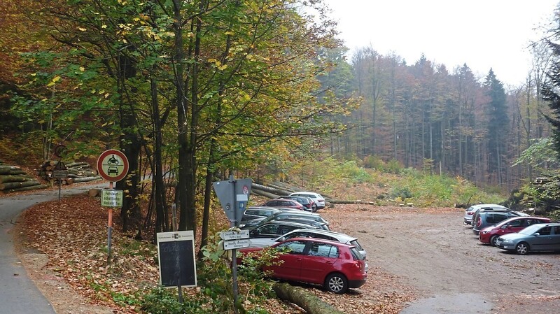 Mit der Rodung der Bäume wurde der erste Schritt zur Parkplatzerweiterung gemacht.