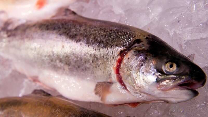 In Freisinger Fisch ist ein möglicherweise krebserregender Stoff nachgewiesen worden.