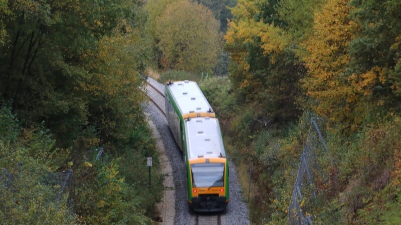 Auf der Waldbahnstrecke zwischen Viechtach und Gotteszell.