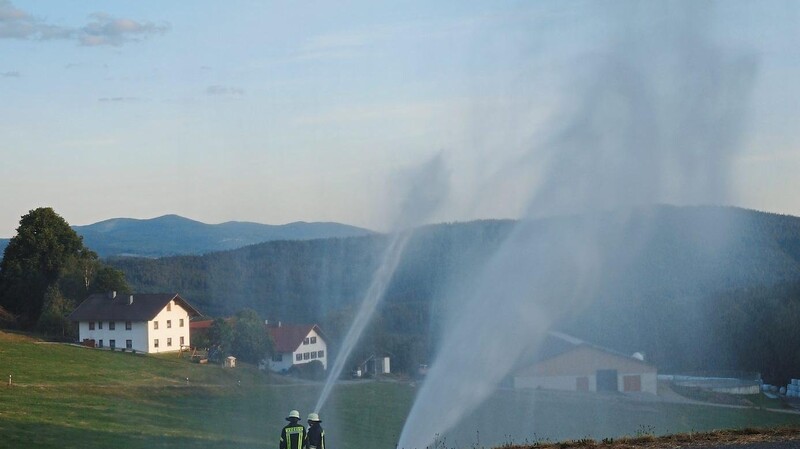 Wasser marsch! Die Feuerwehr bei der Flächenbrandbekämpfung.