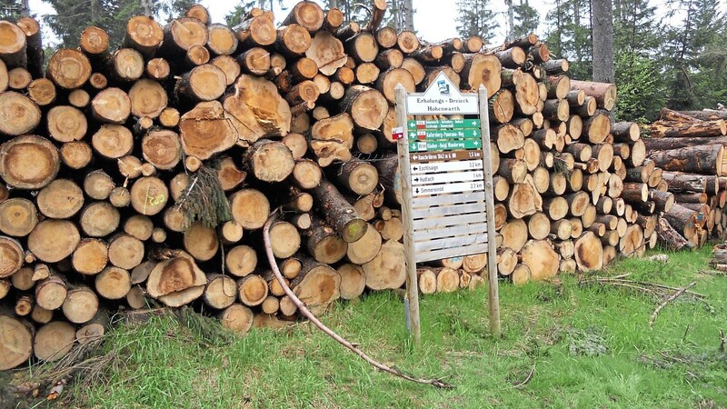 Obwohl die Nachfrage aus Amerika deutlich zurückgegangen ist, können die Waldbesitzer vorläufig auf stabile Holzpreise hoffen.