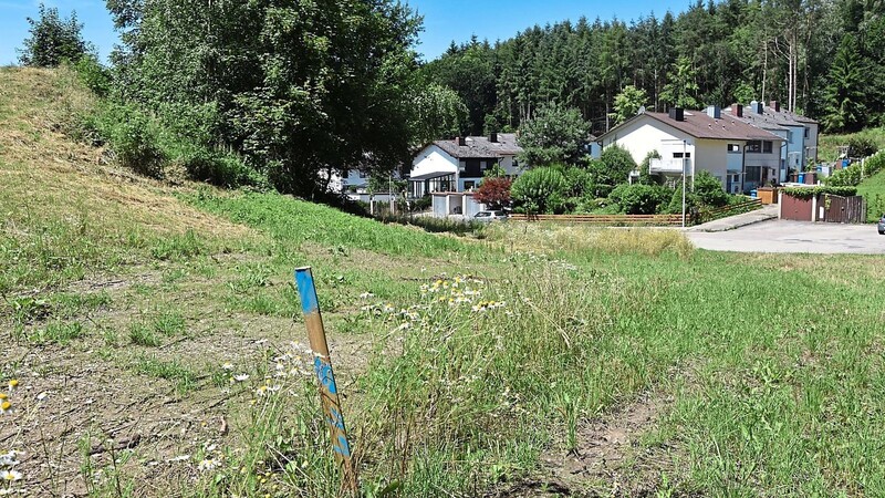Die Claims für das von der Gemeinde Attenhofen geplante Wohngebiet "Waldstraße" sind bereits abgesteckt, während sich bei den Anrainern auf Mainburger Seite (im Hintergrund) Widerstand gegen die Bebauung regt.