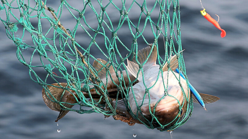 Hängepartie: Beim Thema Fischereirechte liegen die EU und Großbritannien weit auseinander.