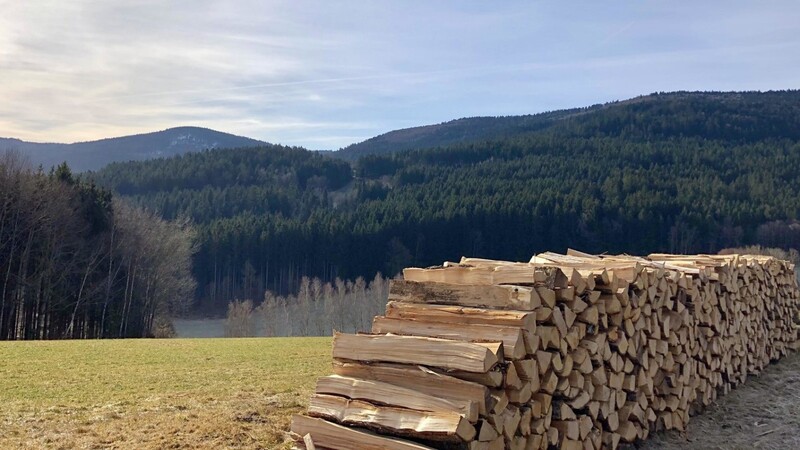Wälder prägen die Landschaft Niederbayerns. Allein 65 Prozent des Landkreis Regen sind bewaldet. Die Bezirksräte finden, dass dieses Potenzial nicht ungenutzt bleiben sollte.