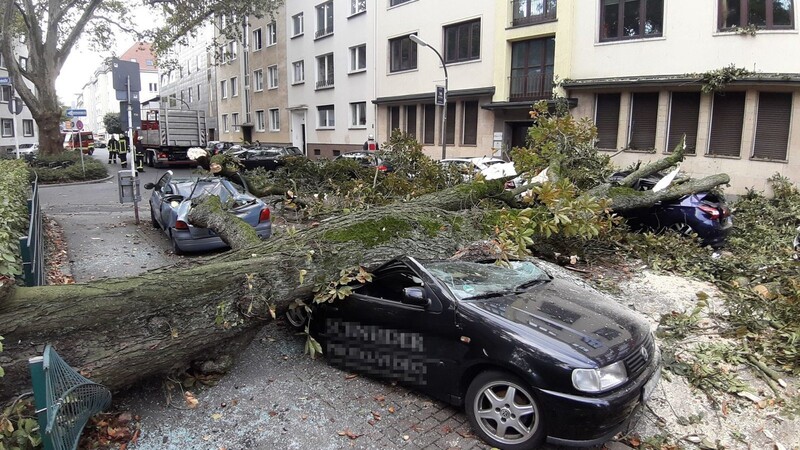 Bei schweren Stürmen kommt es oft zu Schäden an Gebäuden und Fahrzeugen.