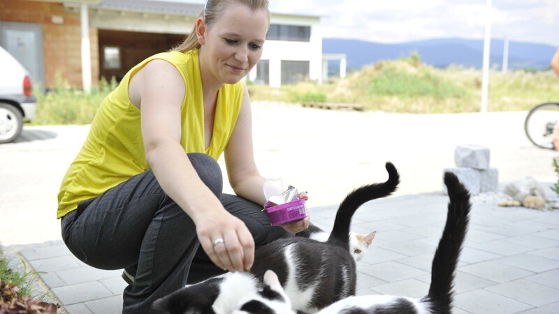 Nadja Faltl füttert ihren hungrigen Übeltäter. Haben etwa ihre Katzen die Futterdosen aus der Nachbarschaft in ihren Garten geschleppt? (Foto: Susanne Raith)