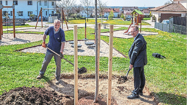 Hengersbergs Bürgermeister Christian Mayer (r.) pflanzt den Bergahorn mit Peter Pirkl, einem Mitarbeiter der Baumschule Hartenberger.