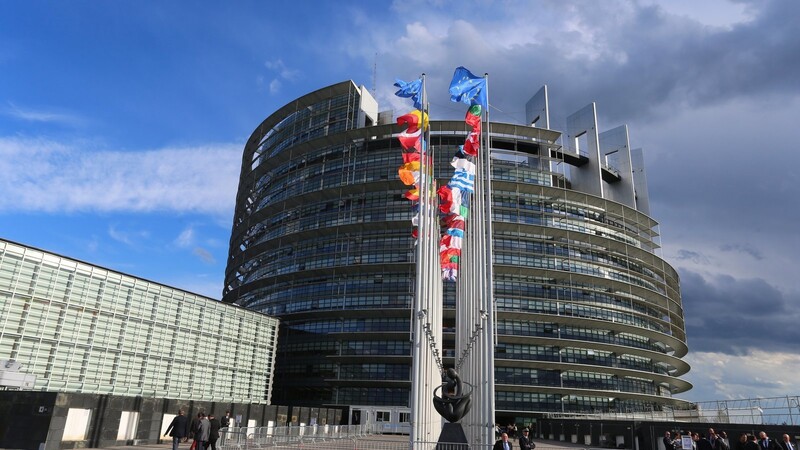 Das Europäische Parlament ergreift die Initiative.