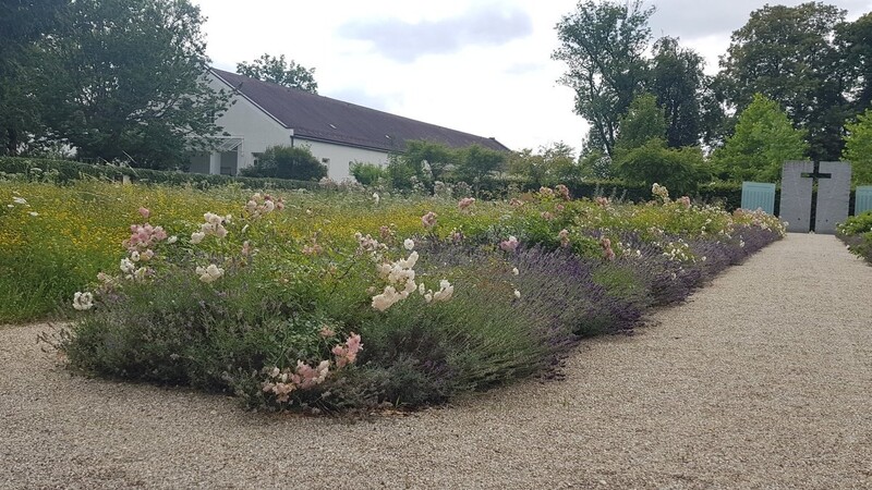 In der Gedenkstätte bilden Rosen, Lavendel und viele andere Blumen ein Blütenmeer für Insekten.