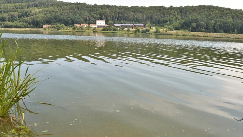 Die bakteriologischen Befunde der Badegewässer im Landkreis Cham sind mit Ausnahme des Further Drachensees nicht zu beanstanden.