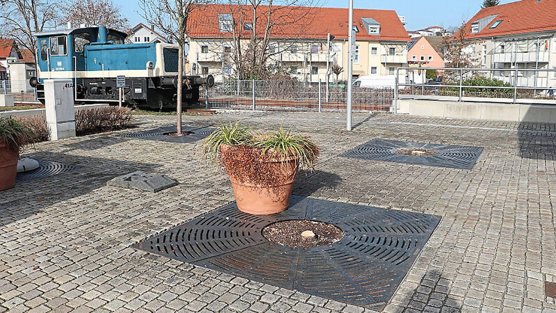 Bis Freitag waren in den Bodenfassungen Weißdornbäume gepflanzt, demnächst sollen zwei Linden den Bahnhofsvorplatz zieren.