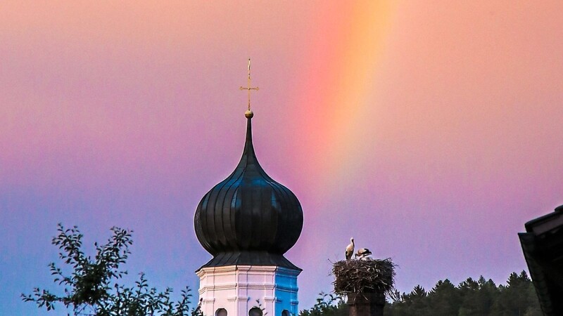 Kirchturm, Regenbogen, Störche: sehr schöne Szenenerie