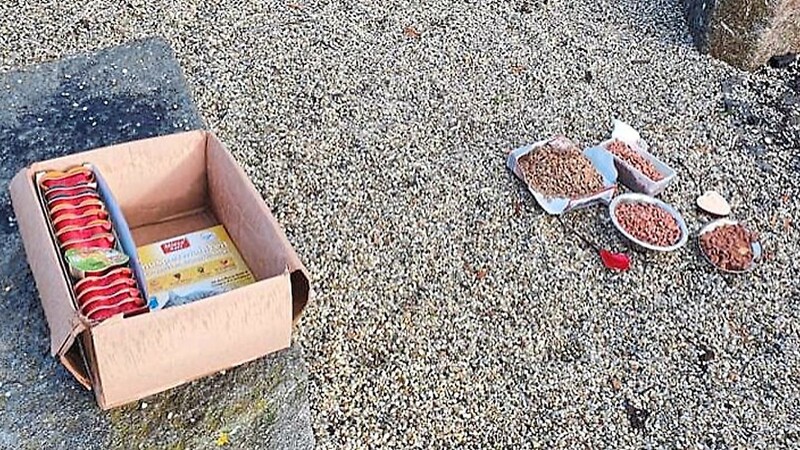 In der Nähe des Feuerwehrhauses in Jellenkofen hat ein Unbekannter Katzenfutter in rauen Mengen ausgelegt. Warum er das tat, ist nicht bekannt.