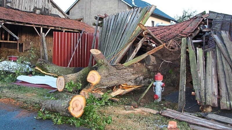Ein entwurzelter Baum hat die Hütte in der Gemeinde Traitsching zerstört. Fotos: Elisabeth Geiling-Plötz