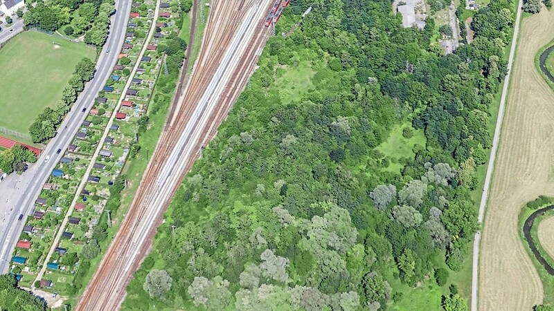 2016 beschloss der Umweltsenat, den Bahnhofswald unter Schutz zu stellen. Im Rahmen eines Kompromisses rund um die umstrittene Bebauung eines Grundstücks am Bahnhofswald wurde der geplante Umgriff vergrößert. Das Eisenbahnbundesamt lehnt die Freistellung aktuell ab.
