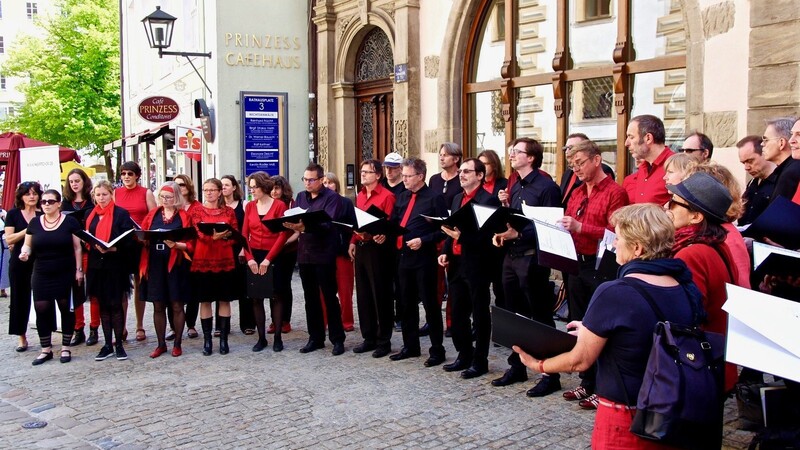 Den "Heart Chor Regensburg" umringte auf dem Rathausplatz schnell eine große Menschentraube. Passend zum Thema gab er eine Interpretation des Songs "Ich bin doch keine Maschine" von Tim Bendzko zum Besten.