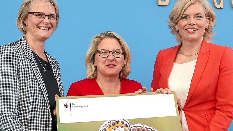 Drei Bundesministerinnen mit Insektenpaket (v. l.): Anja Karliczek (Forschung, CDU), Svenja Schulze (Umwelt, SPD) und Julia Klöckner (Agrar, CDU).