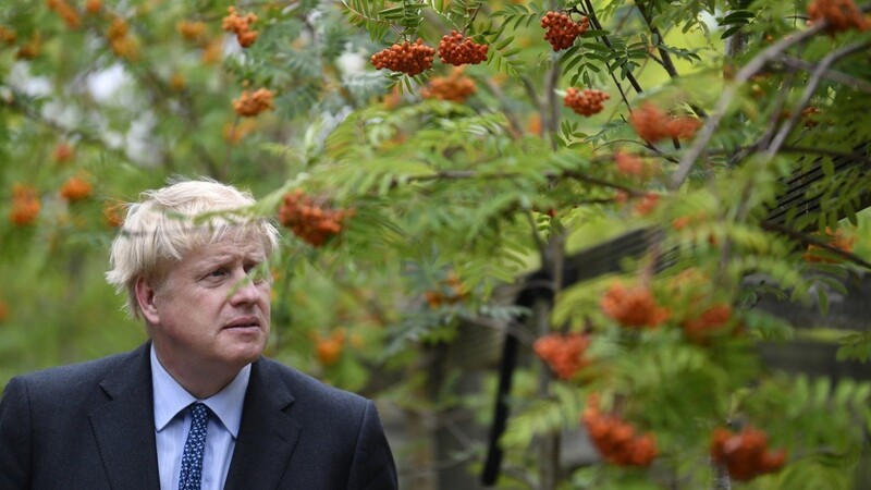 Auch seine Bäume wachsen nicht in den Himmel: der voraussichtliche nächste britische Premierminister Boris Johnson.