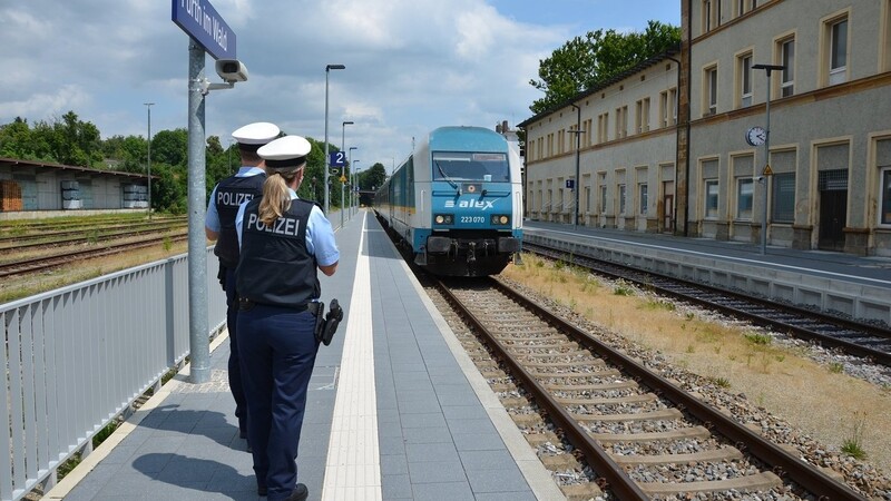 Einen polizeibekannten Einbrecher hat die Bundespolizei im Zug gefasst.