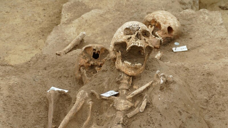 Über 150 Skelette wurden gefunden.