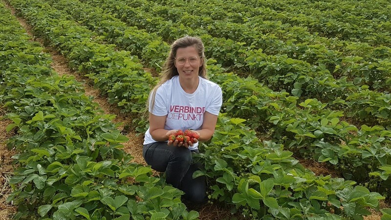 Die Saison ist endlich losgegangen: Alle Hände voll zu tun hat Marianne Liebl auf ihren Erdbeerfeldern in Thenn bei Wartenberg.