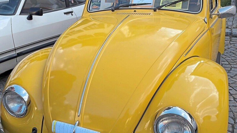 Vom Sunny Bug produzierte VW nur 1 800 Stück - darunter "Leopold".