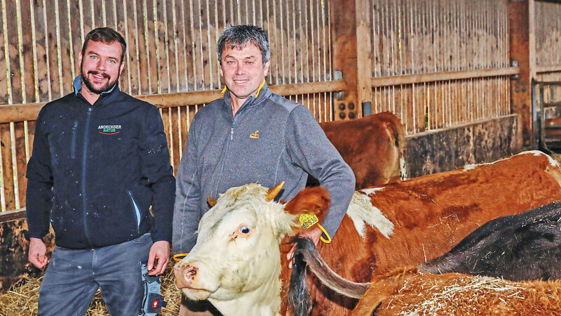 Norbert (r.) und Philipp Grenzebach im Stall mit ihren geliebten Kühen.
