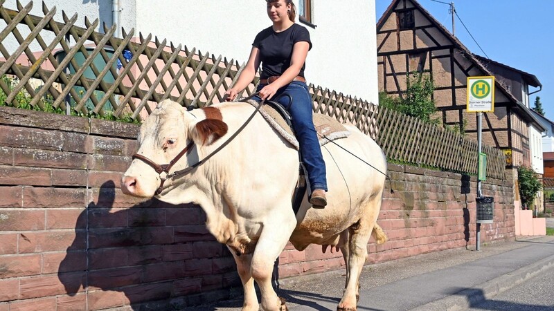 Sonja Keller reitet mit ihrer Kuh Melina regelmäßig durch Ölbronn-Dürrn (Baden-Württemberg). Staunende Blicke von Fußgängern und Autofahrerin sind ihr dann sicher.