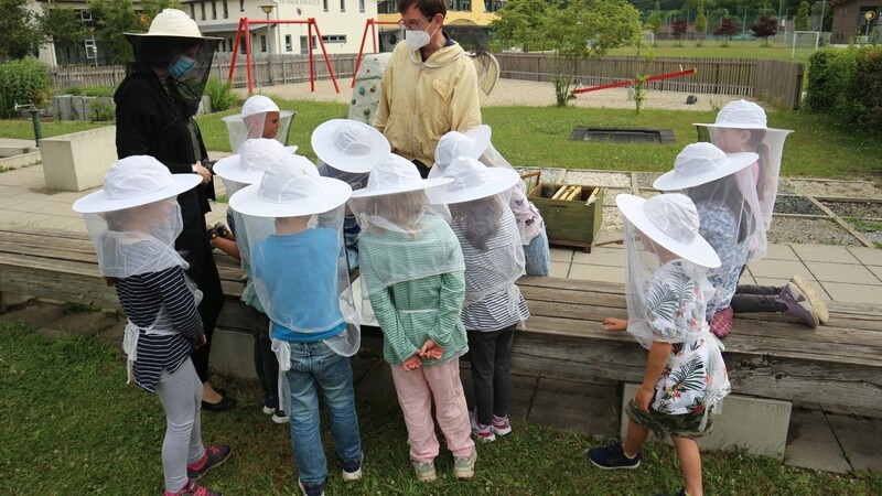 Bienenfachwart Thomas Jauck zeigte den Kindern das Bienenvolk.
