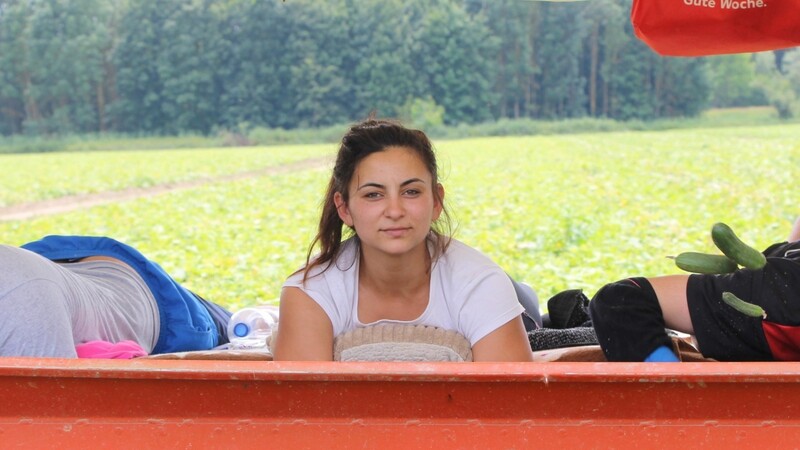 Andrea Fedor arbeitet als Erntehelferin auf einem niederbayerischen Gurkenfeld in Mamming - 985 Kilometer entfernt von Rumänien.