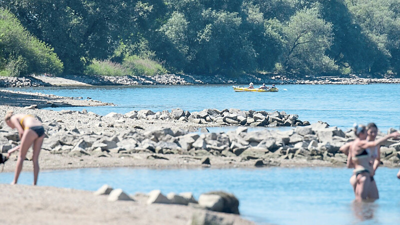Nicht nur Badegäste zieht es bei sommerlichen Temperaturen an die Donau in Bogen. Auch Stechmücken legen ihre Eier häufig entlang von Flussläufen ab.