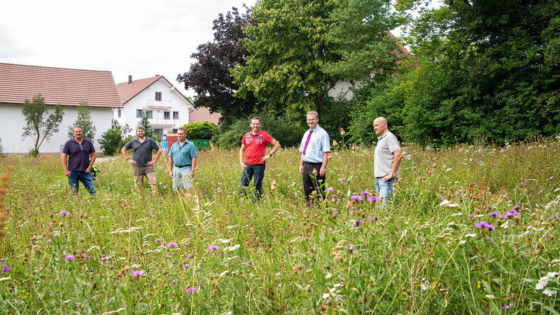 Gemeinsam mit den Vorständen des Gartenbau- und Ortsverschönerungsvereins Hohenegglkofen besprachen die Gemeindevertreter und die Experten des LPV die weitere Pflege