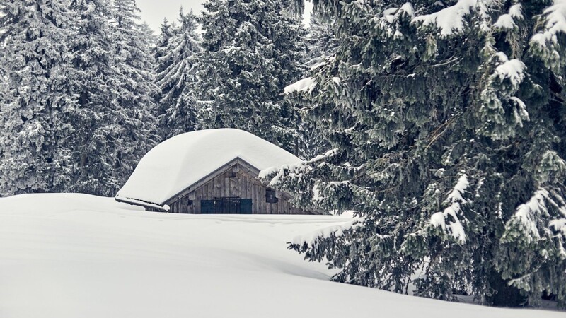 Winterwald am Buchhüttenschachten mit einer tief verschneiten Buchhütte im Jahr 2018. Auch hierher soll der Lehrpfad führen