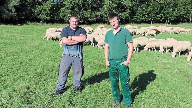 Johannes Jahn (links) und Thomas Steiner zäunen ihre Schafe nachts im Naturschutzgebiet ein. Neulich ist ihnen der Zaun zerschnitten worden.