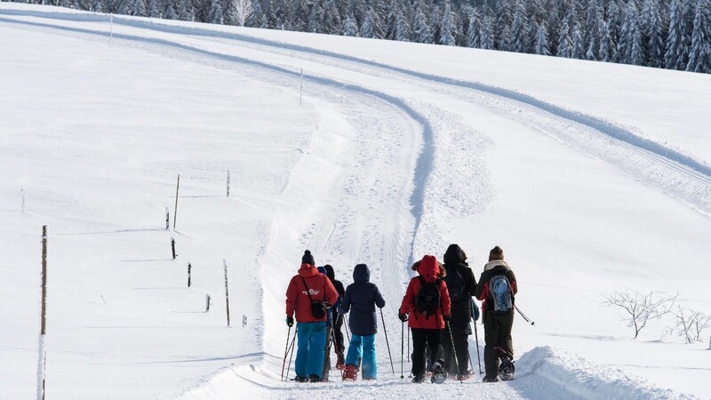 Eine Schneeschuhwanderung ist ideal, um auf sportliche Weise die Winterlandschaft zu erkunden.