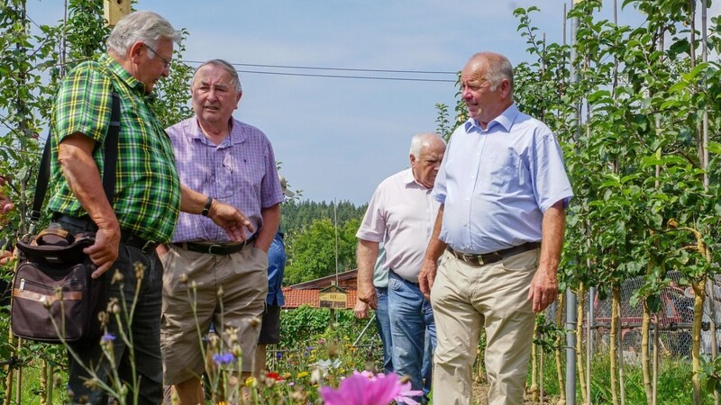 Leopold Haschka (2. von links) beim Pomologen-Treffen im August 2019 in der Obstbaumanlage des Lohbergers Alois Vogl.