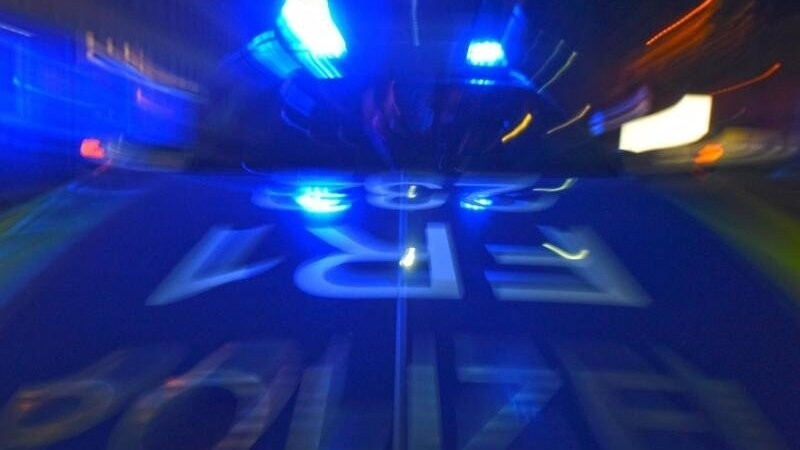 Ein Polizeifahrzeug steht mit Blaulicht auf der Straße. Foto: Patrick Seeger/dpa/Symbolbild