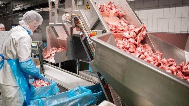 Ein neuer Gesetzesentwurf soll die Fleischindustrie in Deutschland stark reglementieren. Dagegen regt sich jetzt Widerstand. (Symbolbild)