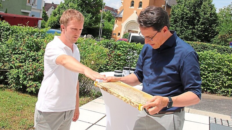 Imker Thomas Gollwitzer (links) erklärt dem Oberbürgermeister Dr. Christian Moser den Aufbau der Honigwabe.