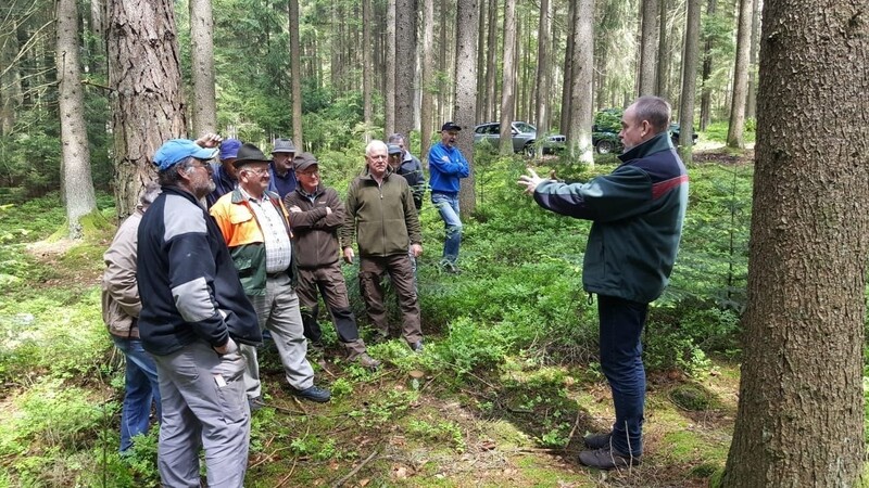 Förster Renso Eck wies beim Waldbegang im Revier Lederdorn auf den Zusammenhang zwischen Waldnutzung und Naturverjüngung hin.