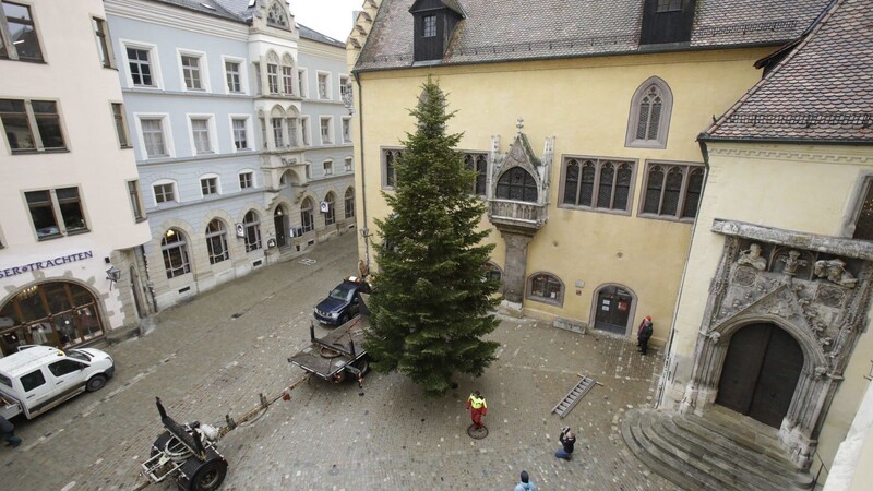 Der Christbaum am Rathausplatz in Regensburg.
