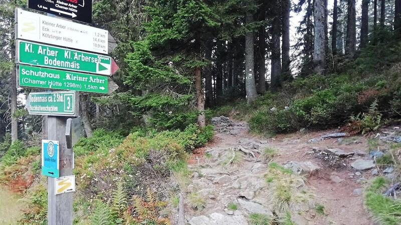 Hier beginnt das schöne Wegstück zur Chamer Hütte, man folgt einfach der Goldsteig-Markierung.