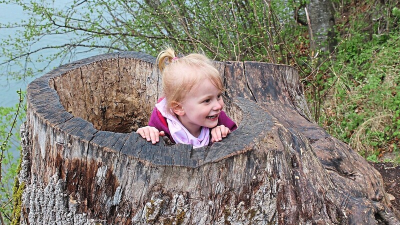 Für viele Kinder ist es das Höchste, unbeschwert im Wald zu spielen - und sich beispielsweise in einem hohlen Baumstumpf zu verstecken.